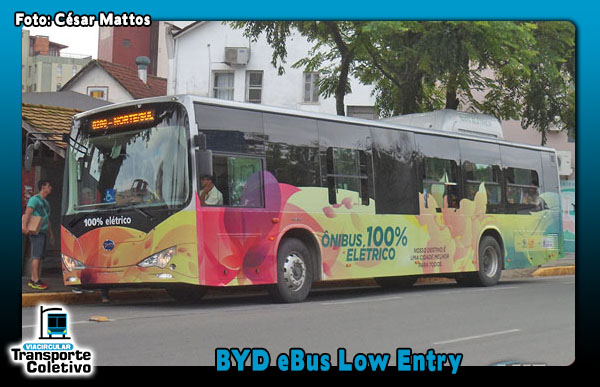 BYD eBus Low-Entry