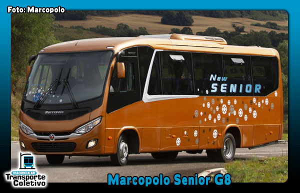 Marcopolo Senior G8