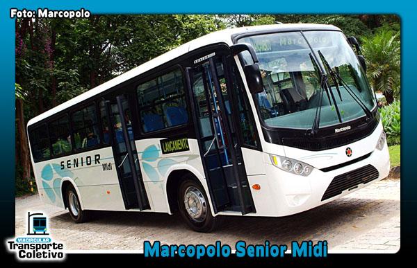 Marcopolo Senior Midi