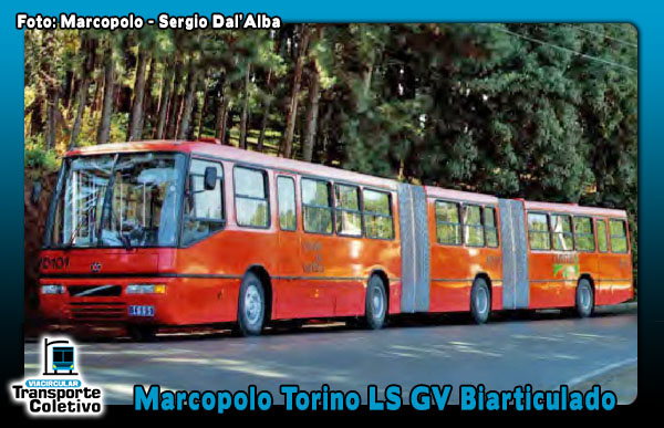 Marcopolo Torino LS GV Biarticulado