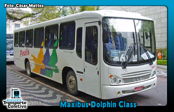 Maxibus Dolphin Class