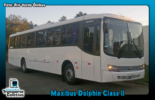 Maxibus Dolphin Class II
