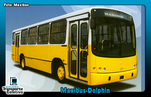 Maxibus Dolphin