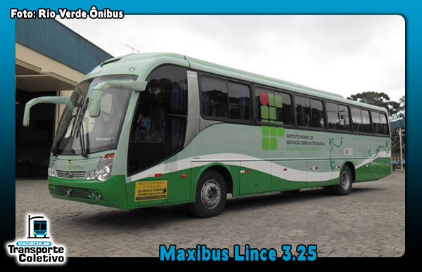 Maxibus Lince 3.25