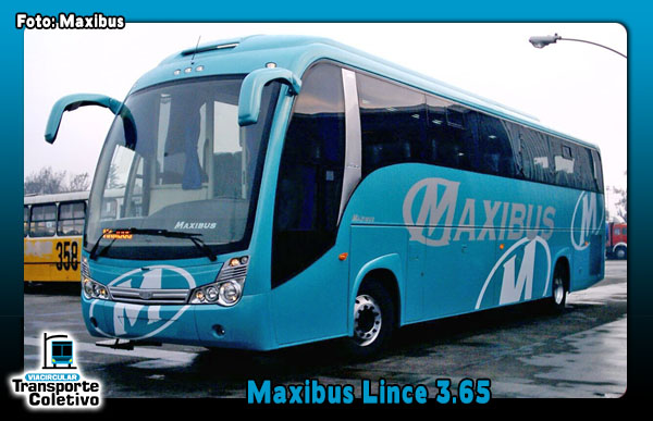Maxibus Lince 3.65